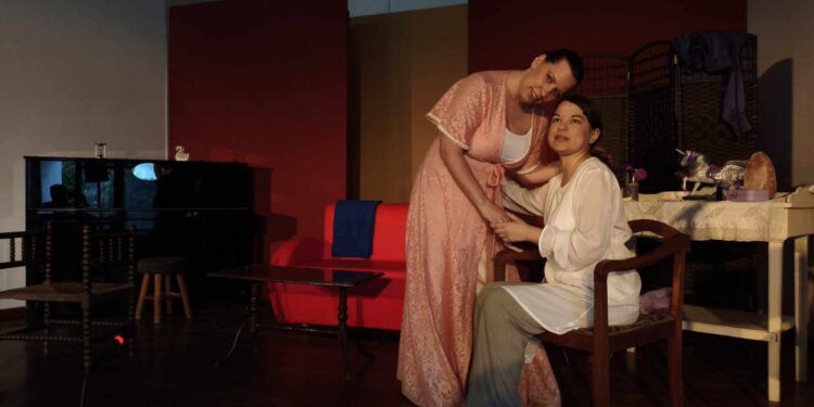 ΑΝΔΡΑΒΙΔΑ: Θερμό χειροκρότημα από το κοινό για το έργο “Η ζωή είναι επιθυμία”