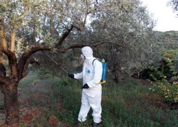 ΔΙΕΥΘΥΝΣΗ ΑΓΡΟΤΙΚΗΣ ΟΙΚΟΝΟΜΙΑΣ Π.Ε. ΗΛΕΙΑΣ: Έναρξη δολωματικών ψεκασμών σε Τοπικές Κοινότητες της Ηλείας