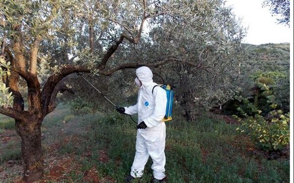 ΔΙΕΥΘΥΝΣΗ ΑΓΡΟΤΙΚΗΣ ΟΙΚΟΝΟΜΙΑΣ Π.Ε. ΗΛΕΙΑΣ: Έναρξη δολωματικών ψεκασμών σε Τοπικές Κοινότητες της Ηλείας