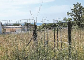 Σχεδόν 320.000 οι δηλώσεις καθαρισμών των οικοπέδων