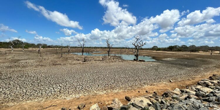 Αναπτυξιακή υστέρηση λόγω λειψυδρίας