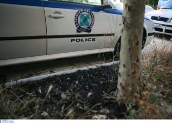 Νεκρός μέσα σε στάβλο στο Καπελέτο
