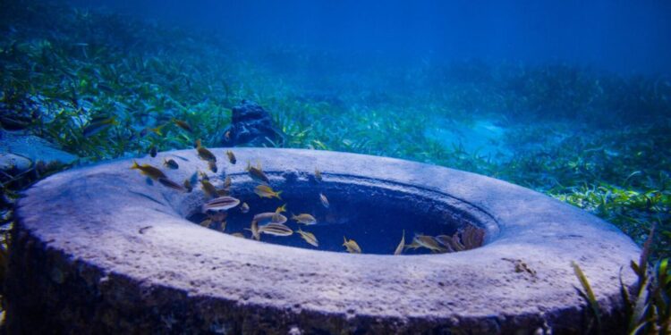 ΔΗΜΟΣ ΑΝΔΡΑΒΙΔΑΣ – ΚΥΛΛΗΝΗΣ: Ημερίδα για το πρόβλημα ρύπανσης των ακτών της Ηλείας