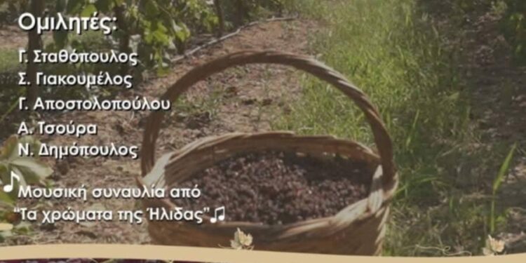 ΣΥΛΛΟΓΟΣ ΦΙΛΟΠΡΟΟΔΩΝ ΚΡΕΣΤΕΝΩΝ: Η σταφίδα, ο “μαύρος χρυσός” του Μοριά, “ζωντανεύει” και πάλι στην Κρέστενα