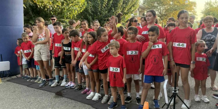 Πετυχημένο το 4th Alfeios Trail Run 2025