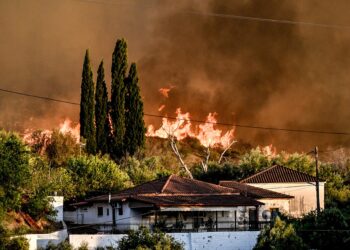 Η Ηλεία μετρά ξανά τις πληγές της
