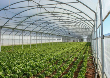 ΠΕΡΙΦΕΡΕΙΑ ΔΥΤΙΚΗΣ ΕΛΛΑΔΑΣ: Παράταση υποβολής αιτήσεων για τις Επενδύσεις στον εκσυγχρονισμό και την κατασκευή θερμοκηπίων