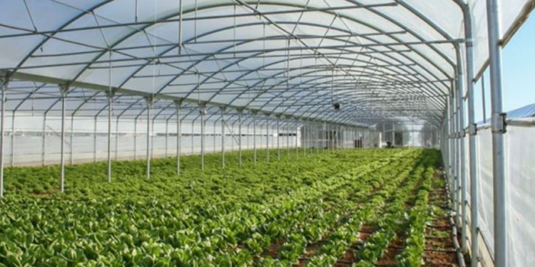 ΠΕΡΙΦΕΡΕΙΑ ΔΥΤΙΚΗΣ ΕΛΛΑΔΑΣ: Παράταση υποβολής αιτήσεων για τις Επενδύσεις στον εκσυγχρονισμό και την κατασκευή θερμοκηπίων
