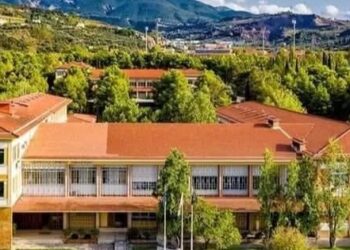 Πανηλειακή Κίνηση Πολιτών για ΑΕΙ: “Με 7 Πανεπιστημιακά Ιδρύματα έχουμε έρθει σε επαφή”