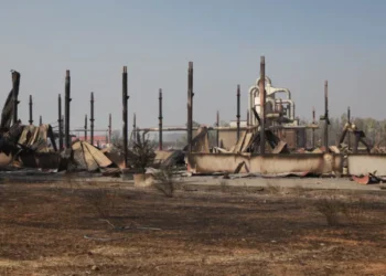 ΠΕΡΙΦΕΡΕΙΑ ΔΥΤΙΚΗΣ ΕΛΛΑΔΑΣ: Καταγραφή επιχειρήσεων που επλήγησαν από τις πυρκαγιές