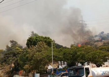 “ΝΕΑ ΔΥΤΙΚΗ ΕΛΛΑΔΑ – ΕΝΩΜΕΝΟΙ ΜΠΟΡΟΥΜΕ”: Ερώτηση Σκιαδαρέση για την επιβάρυνση της δημόσιας υγείας από τις πυρκαγιές