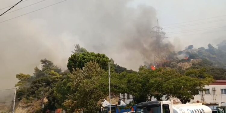 “ΝΕΑ ΔΥΤΙΚΗ ΕΛΛΑΔΑ – ΕΝΩΜΕΝΟΙ ΜΠΟΡΟΥΜΕ”: Ερώτηση Σκιαδαρέση για την επιβάρυνση της δημόσιας υγείας από τις πυρκαγιές