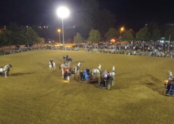 “Μάγεψε” η 91η Ιππική Έκθεση Ανδραβίδας (φωτος)