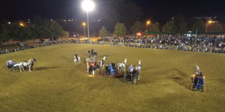 “Μάγεψε” η 91η Ιππική Έκθεση Ανδραβίδας (φωτος)