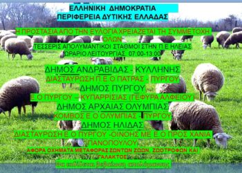 Έναρξη λειτουργίας σταθμών απολύμανσης για την ευλογιά των αιγοπροβάτων