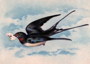 Μια φορά και μια Φαντασία: “Τα χελιδόνια που φεύγουν”