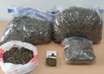 Συνελήφθησαν δύο άτομα για μεταφορά 6 κιλών κάνναβης στην Ηλεία