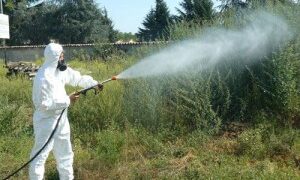 ΠΕΡΙΦΕΡΕΙΑΚΗ ΕΝΟΤΗΤΑ ΗΛΕΙΑΣ: Συστηματικοί ψεκασμοί στο νομό Ηλείας