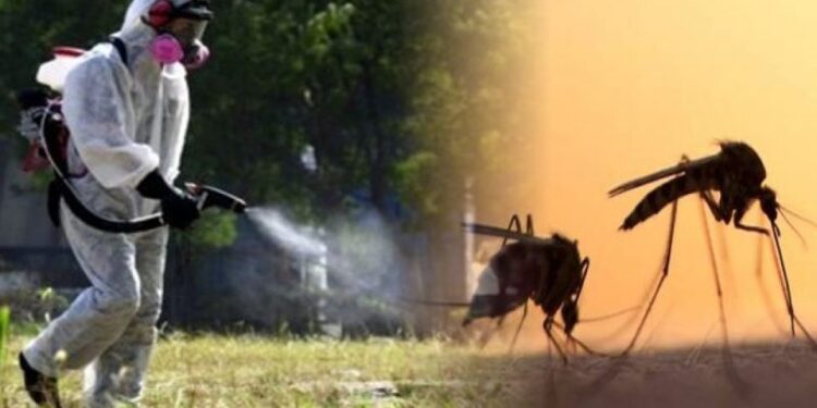 Αυξημένη όχληση από κουνούπια σε περιοχές της Δ.Ε. Σκιλλούντος