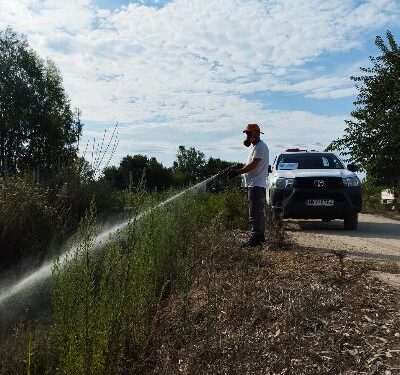 ΔΗΜΟΣ ΑΝΔΡΙΤΣΑΙΝΑΣ – ΚΡΕΣΤΕΝΩΝ: Συνεχίζονται οι ψεκασμοί για τα σμήνη κουνουπιών