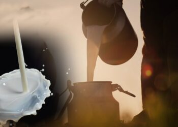 Πόλεμος τιμών για το γάλα και στη μέση η φέτα