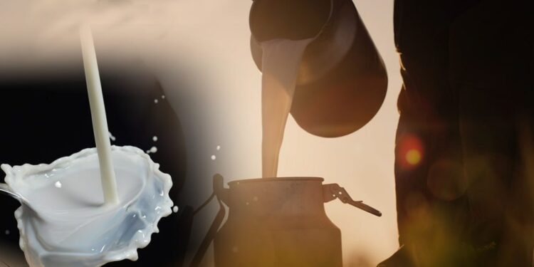 Πόλεμος τιμών για το γάλα και στη μέση η φέτα