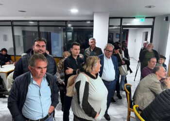 ΣΥΛΛΟΓΟΣ ΛΙΜΝΗΣ ΠΗΝΕΙΟΥ ΗΛΙΔΑΣ: “Να προχωρήσουν οι Δήμοι τις ενέργειες κατά των φωτοβολταϊκών