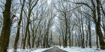 Στα λευκά τα ορεινά του Δήμου Αρχαίας Ολυμπίας (φωτος)
