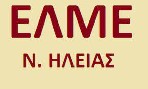 ΕΛΜΕ ΗΛΕΙΑΣ: Εκλογές για την ανάδειξη νέου Δ.Σ.