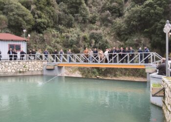 ΔΗΜΟΣ ΑΡΧΑΙΑΣ ΟΛΥΜΠΙΑΣ: Καθαγιασμός των υδάτων στα Άσπρα Σπίτια και στο Κακοτάρι