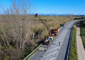 ΠΕΡΙΦΕΡΕΙΑΚΗ ΕΝΟΤΗΤΑ ΗΛΕΙΑΣ: Παρεμβάσεις κοπής επικίνδυνων δέντρων στο οδικό δίκτυο της Ηλείας για την ενίσχυση της οδικής ασφάλειας