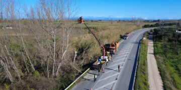 ΠΕΡΙΦΕΡΕΙΑΚΗ ΕΝΟΤΗΤΑ ΗΛΕΙΑΣ: Παρεμβάσεις κοπής επικίνδυνων δέντρων στο οδικό δίκτυο της Ηλείας για την ενίσχυση της οδικής ασφάλειας