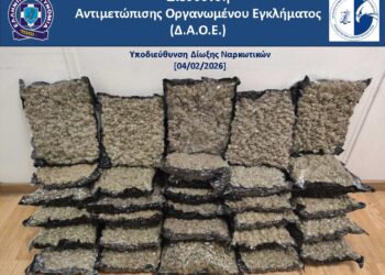 45χρονος αλλοδαπός επιχείρησε να εισάγει αεροπορικώς στην Ελλάδα περισσότερα από 32 κιλά ακατέργαστης κάνναβης υδροπονικής καλλιέργειας (skunk)