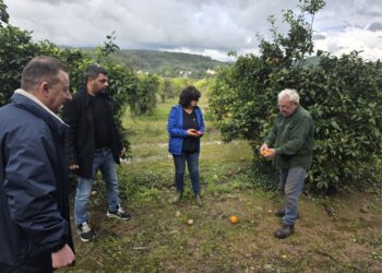 ΔΗΜΟΤΙΚΗ ΕΝΟΤΗΤΑ ΑΡΧΑΙΑΣ ΟΛΥΜΠΙΑΣ: Επίβλεψη και έλεγχος ζημιών από τον ΕΛΓΑ