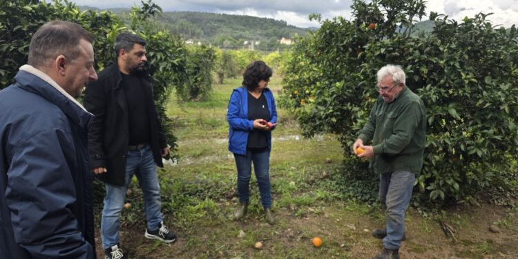 ΔΗΜΟΤΙΚΗ ΕΝΟΤΗΤΑ ΑΡΧΑΙΑΣ ΟΛΥΜΠΙΑΣ: Επίβλεψη και έλεγχος ζημιών από τον ΕΛΓΑ