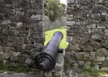 Έρχεται στο skalistiri.news ένα αποκαλυπτικό ιστορικό ντοκουμέντο: Ο Ηλείος πυροβολητής της Εξόδου!