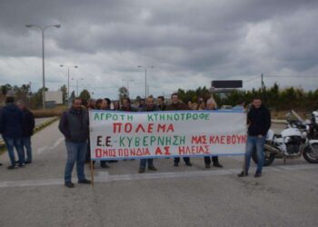 ΟΜΟΣΠΟΝΔΙΑ ΑΓΡΟΤΙΚΩΝ ΣΥΛΛΟΓΩΝ ΗΛΕΙΑΣ: Καταγγελία για την εγκατάλειψη του κτηνοτροφικού κλάδου και την επιβάρυνση των παραγωγών με το κόστος εμβολιασμού