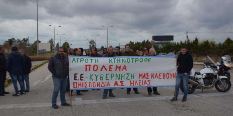 ΟΜΟΣΠΟΝΔΙΑ ΑΓΡΟΤΙΚΩΝ ΣΥΛΛΟΓΩΝ ΗΛΕΙΑΣ: Καταγγελία για την εγκατάλειψη του κτηνοτροφικού κλάδου και την επιβάρυνση των παραγωγών με το κόστος εμβολιασμού