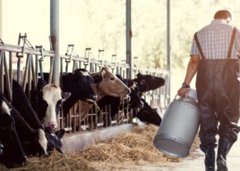 Σήμα Κινδύνου εκπέμπει το επάγγελμα του κτηνοτρόφου!