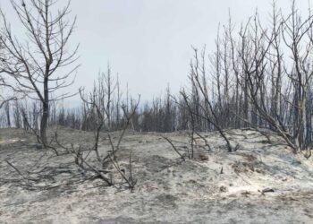 Το Επιμελητήριο Ηλείας για τα νέα κυβερνητικά μέτρα: “Θετική κατεύθυνση – αναγκαία αντίστοιχη λύση και για τα πυρόπληκτα δάνεια της Ηλείας”