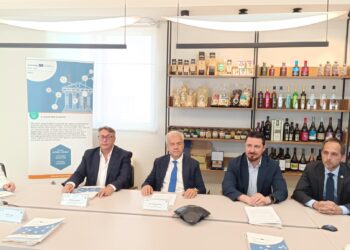 ΕΠΙΜΕΛΗΤΗΡΙΟ ΗΛΕΙΑΣ: Παρουσίαση του έργου DACC!