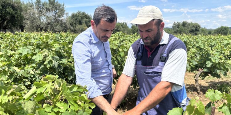 ΑΝΔΡΕΑΣ ΝΙΚΟΛΑΚΟΠΟΥΛΟΣ: “Πρόκειται για μία από τις μεγαλύτερες καταστροφές μετά από χαλαζόπτωση”