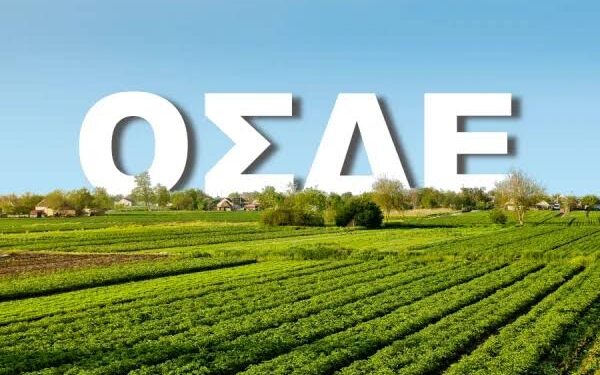 Πότε ανοίγει το ΟΣΔΕ του 2026 και πως θα πληρωθούν οι παραγωγοί το τσεκ