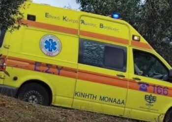 Καρδαμάς: 90χρονος βρέθηκε νεκρός σε χωράφι!