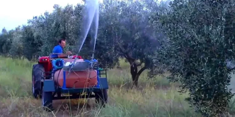 ΠΕΡΙΦΕΡΕΙΑ ΔΥΤΙΚΗΣ ΕΛΛΑΔΑΣ: Ξεκινούν δολωματικοί ψεκασμοί για τον δάκο της ελιάς στην Π.Ε. Ηλείας