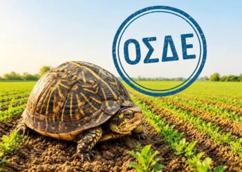 ΟΣΔΕ 2026: Με ρυθμούς χελώνας η διαδικασία!