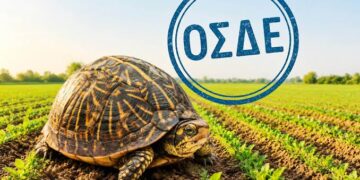 ΟΣΔΕ 2026: Με ρυθμούς χελώνας η διαδικασία!