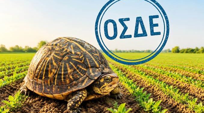 ΟΣΔΕ 2026: Με ρυθμούς χελώνας η διαδικασία!