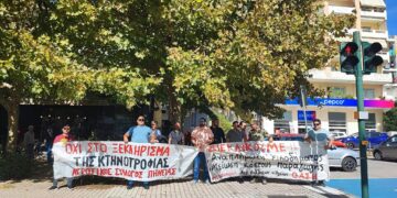 Κραυγή αγωνίας από τους αγροτοκτηνοτρόφους της Ηλείας!
