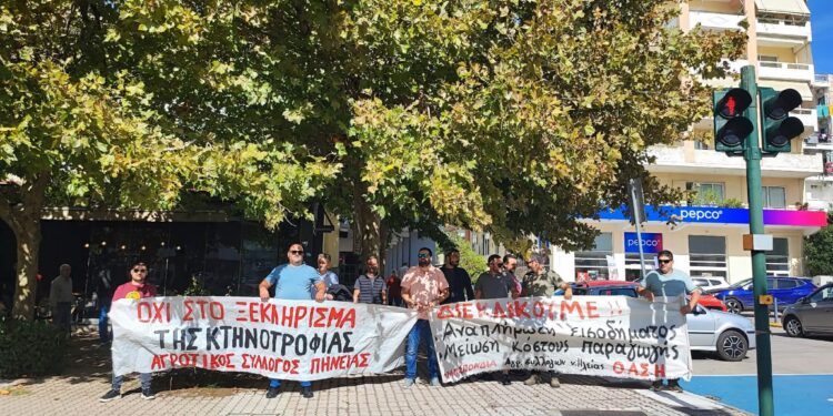 Κραυγή αγωνίας από τους αγροτοκτηνοτρόφους της Ηλείας!